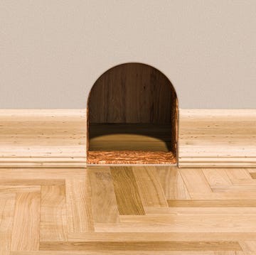 How to get rid of mice how to get rid of mice