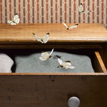 how to get rid of moths moths in sweater drawer