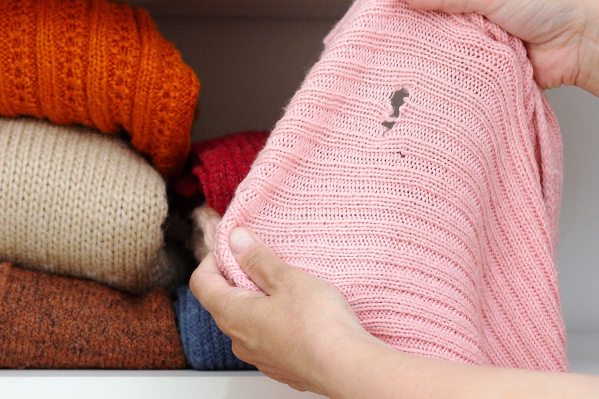 How to Get Rid of Moths at Home - Kill Pantry & Clothes Moths