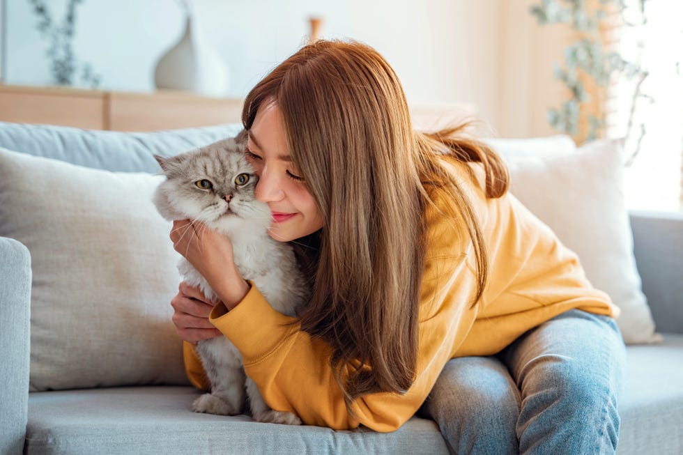 how to get rid of pet smell in house