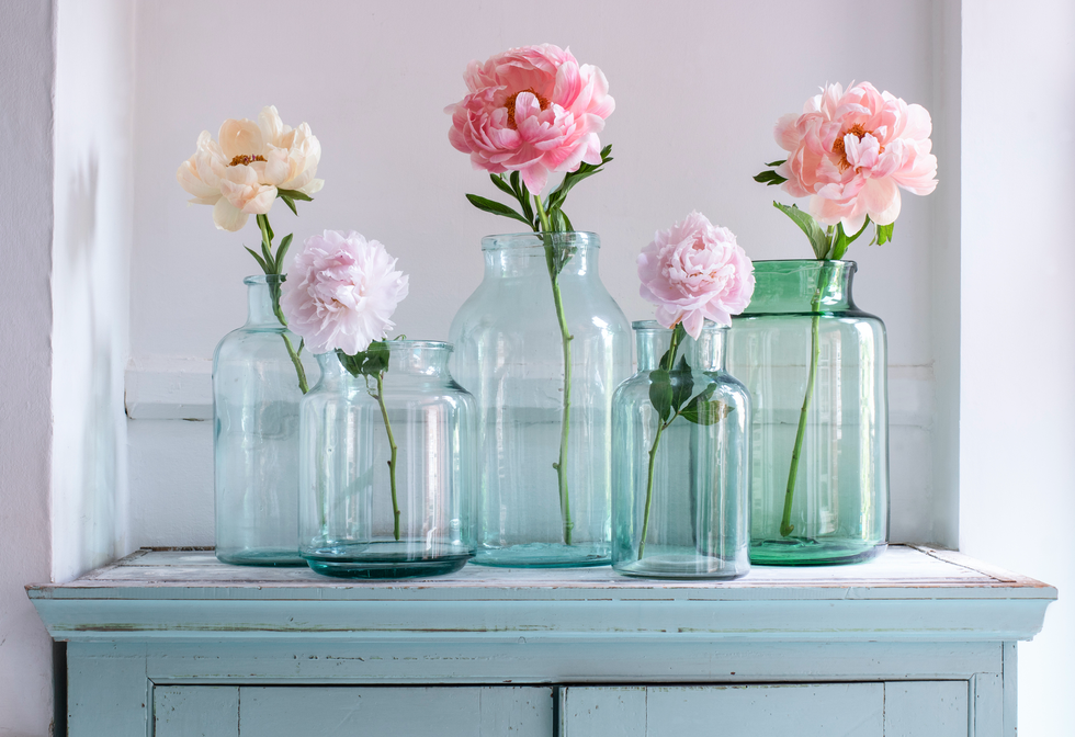 How to Grow Peonies - Best Tips to Growing Peonies