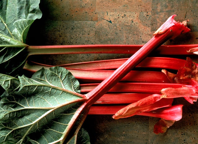 how to grow rhubarb