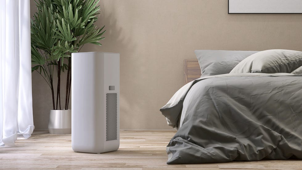 how to keep your home free from damp and mould