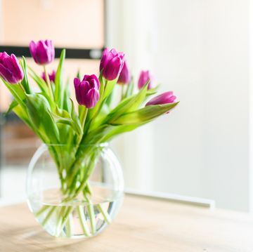 beautiful pink tulips in a vase home interior photo stock photo