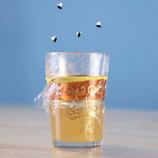 how to kill fruit flies, apple cider vinegar in a glass with animated flies hovering