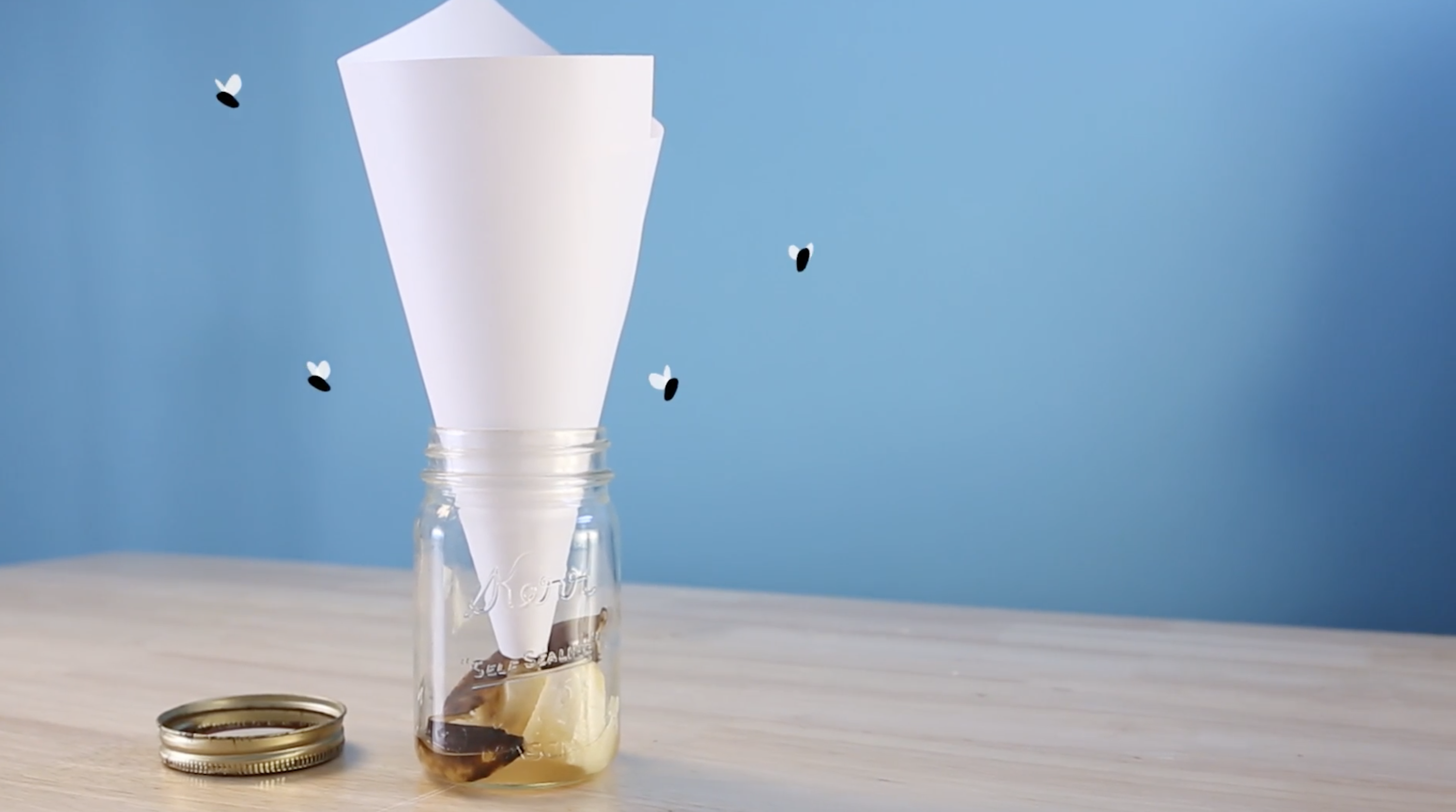 DIY Hacks to Rid Your Home of Fruit Flies and Keep Them Away for Good