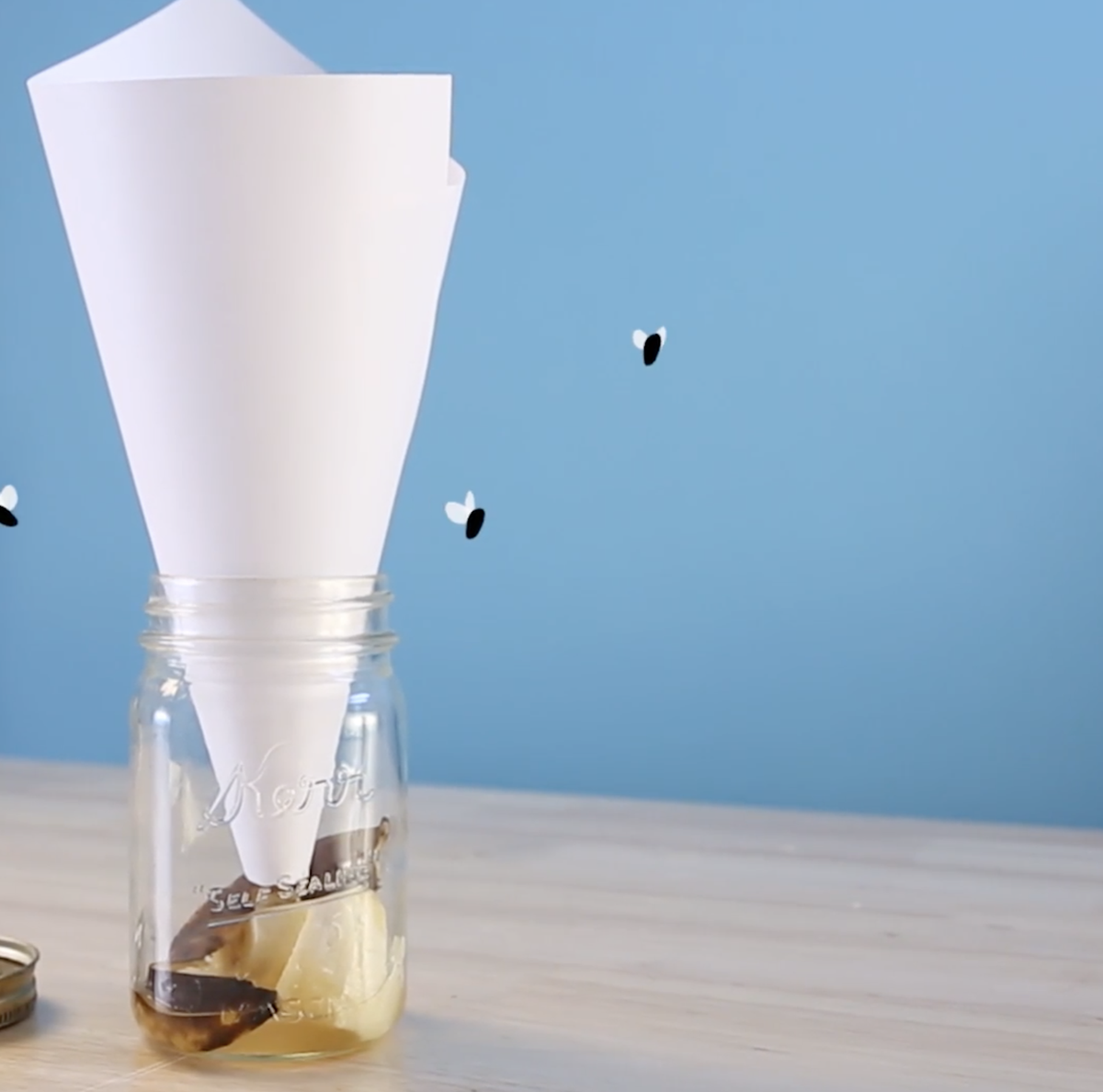 https://hips.hearstapps.com/hmg-prod/images/how-to-kill-fruit-flies-paper-cone-mason-jar-64df9fd53c54d.png?crop=0.564xw:1.00xh;0.0449xw,0&resize=1200:*