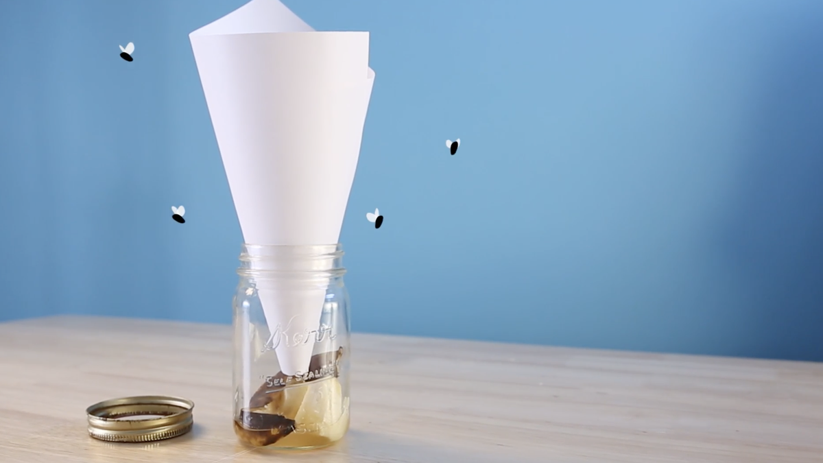 https://hips.hearstapps.com/hmg-prod/images/how-to-kill-fruit-flies-paper-cone-mason-jar-64df9fd53c54d.png?crop=0.9923507609809952xw:1xh;center,top&resize=1200:*