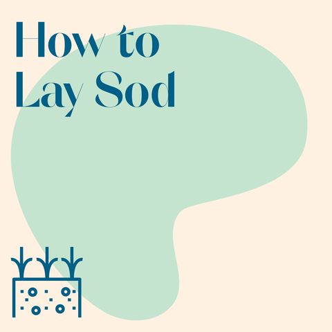 how to lay sod