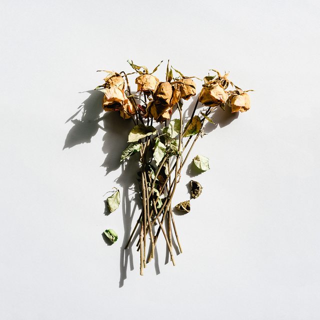 a bouquet of dried roses