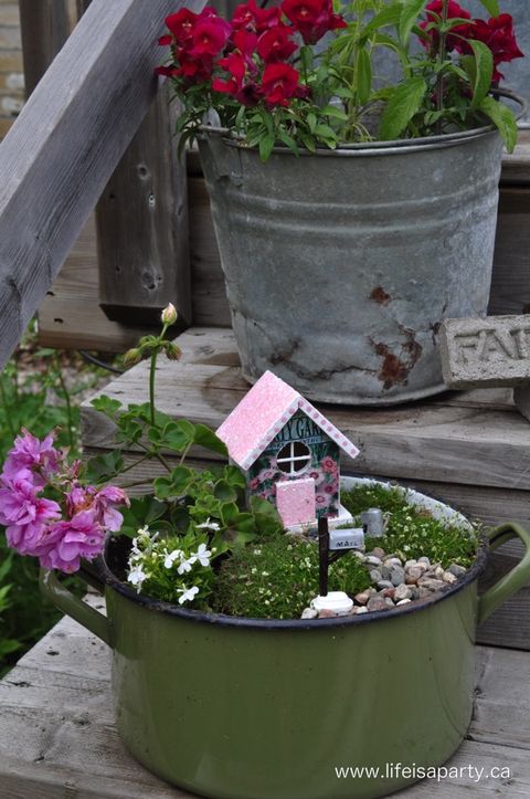 fairy garden in a pot