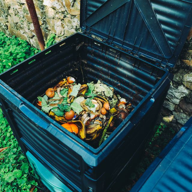 https://hips.hearstapps.com/hmg-prod/images/how-to-make-compost-compost-bin-1627299722.jpg?crop=0.639xw:0.959xh;0.146xw,0.0179xh&resize=640:*