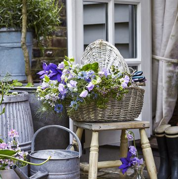 cut flowers in wicker basket, nigella, sweetpeas, stool, watering can, glass bottle as vase, paved patio or terrace, watering can, arrangement