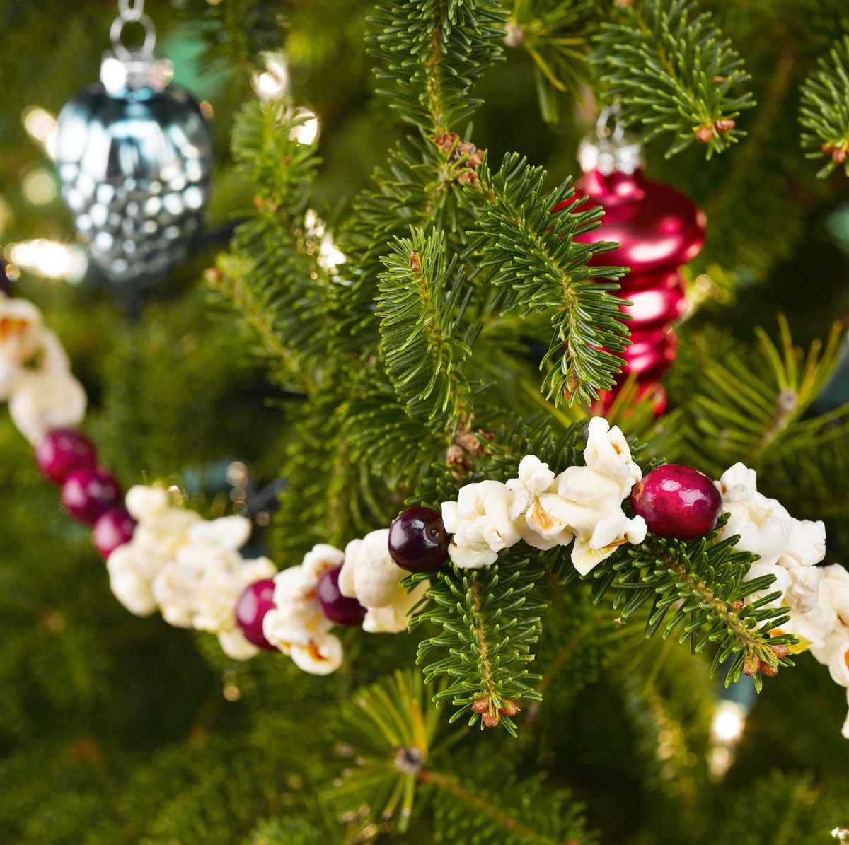 White Christmas Decorations And Popcorn Garland On Fir Tree
