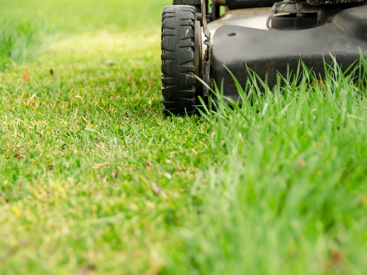 First Cut Of 2023? 16 Tips Before Mow The Lawn