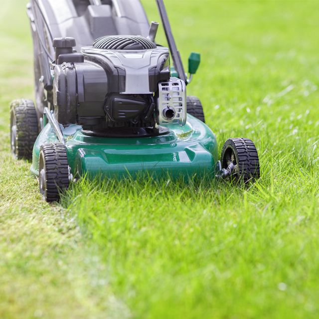 mowing or cutting the long grass with a green lawn mower in the summer sun