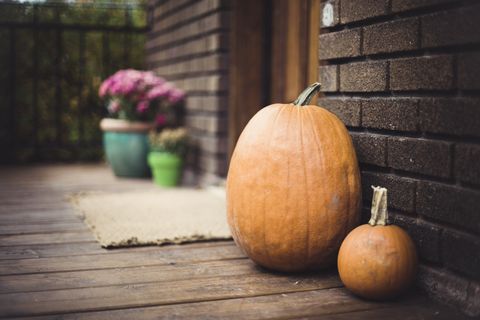 how to prevent uncarved pumpkins from rotting