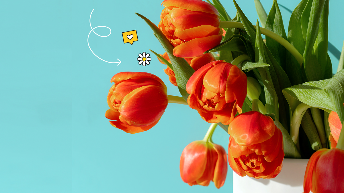 13 Clever Flower Arrangement Tips & Tricks  Floral foam, Flower  arrangements, Flower arrangements diy