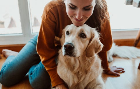 How to remove pet hair - pet hair removal tips How to remove pet hair - pet hair removal tips