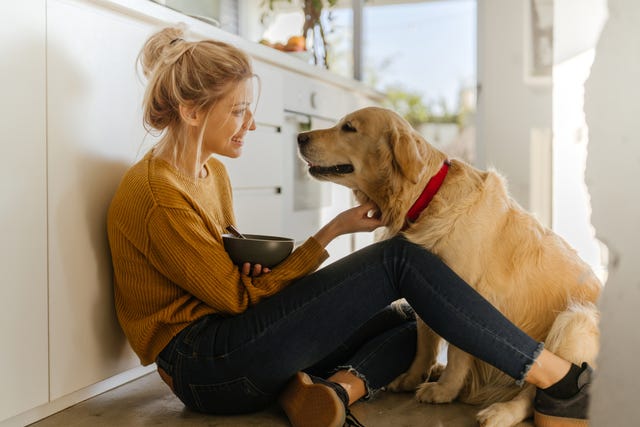 how to remove pet hair