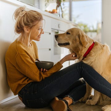 how to remove pet hair