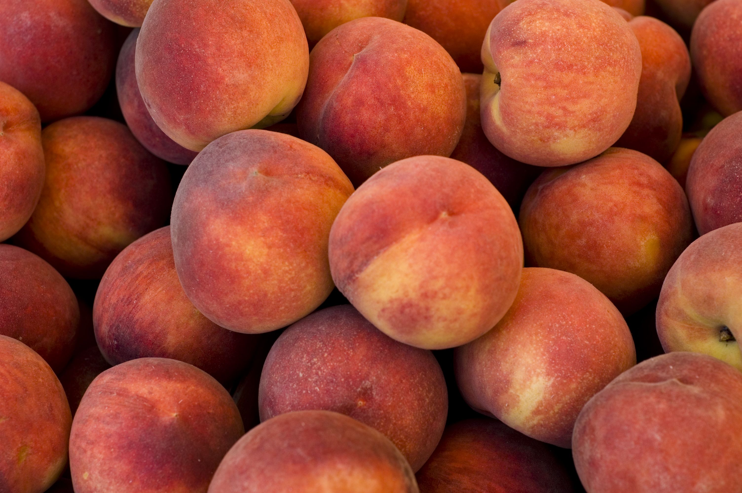 How to Tell if a Peach is Ripe