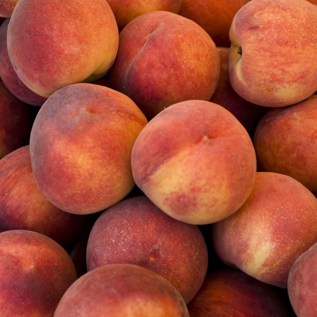 Learn How To Tell When a Peach Is Ripe for Eating – Lane Southern