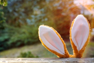 easter bunny tracker