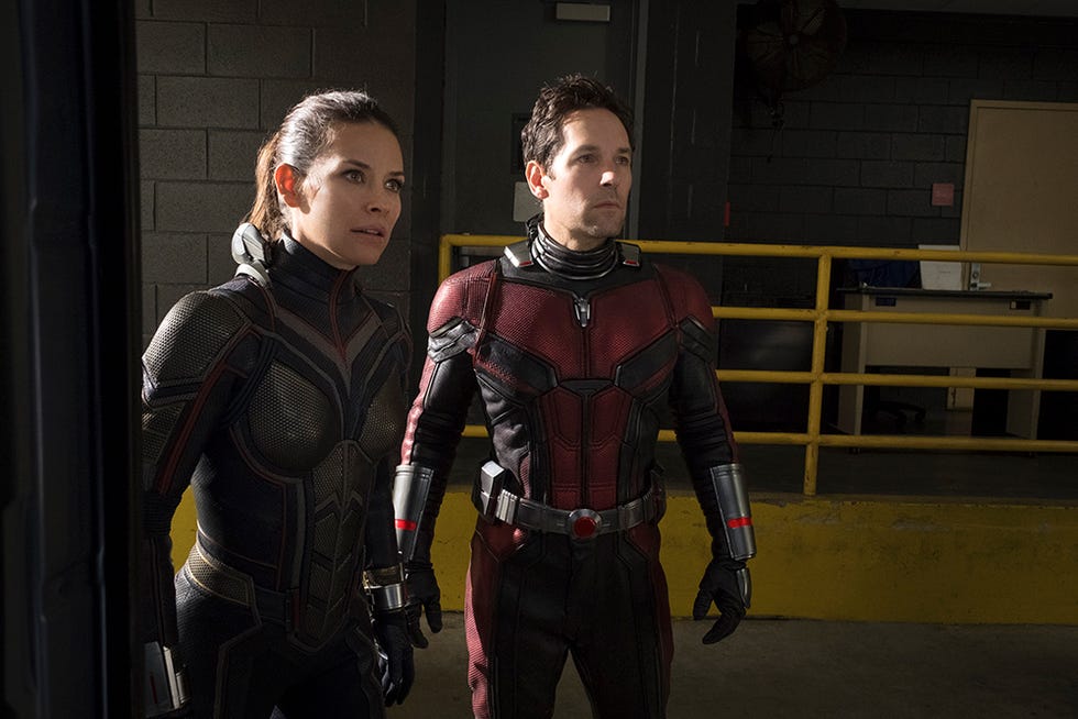 Ant-Man 3: What Marvel Movies and TV Shows Do You Need to Watch