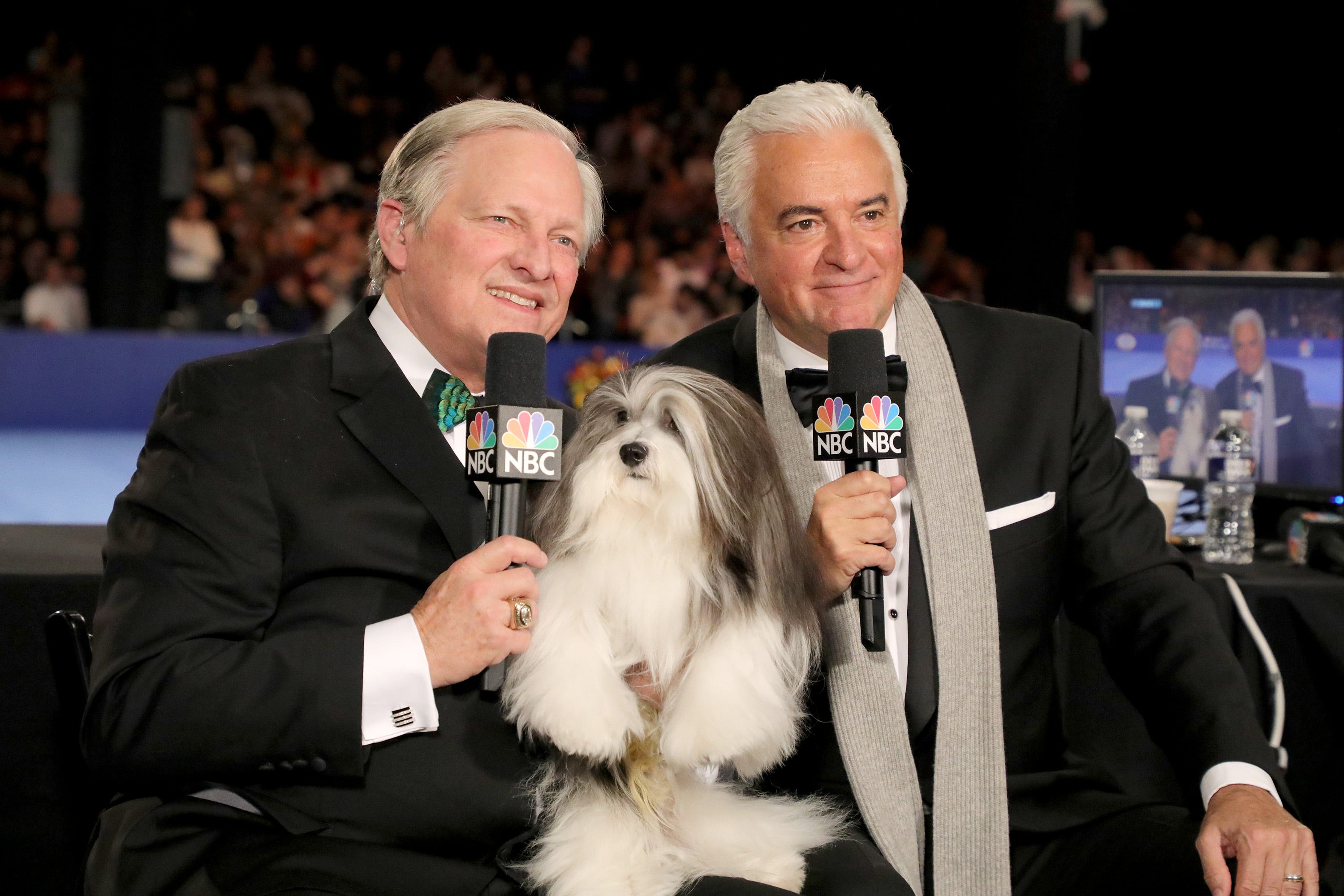 what breed of dog won the national dogshow