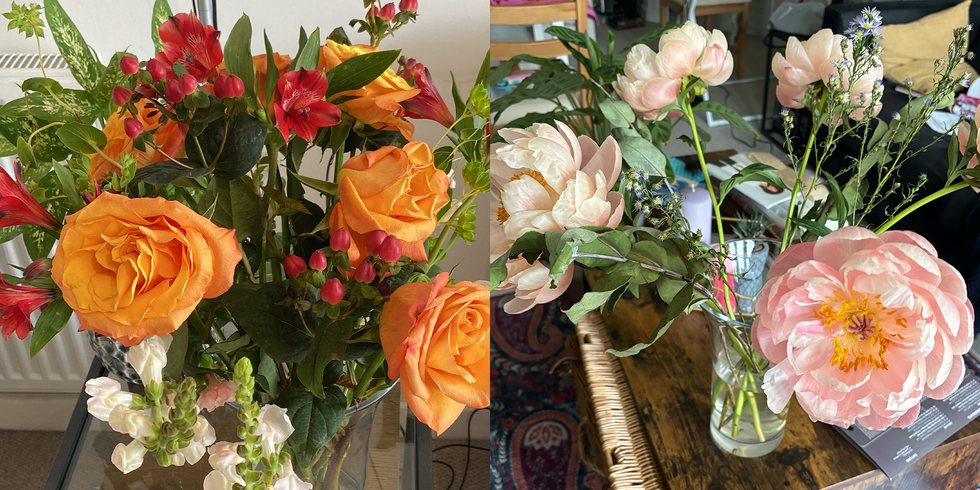 how we test letterbox flowers