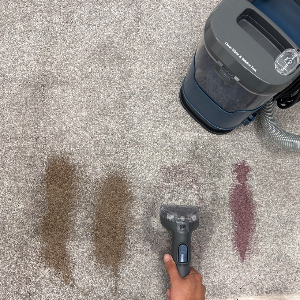 how we test spot cleaners