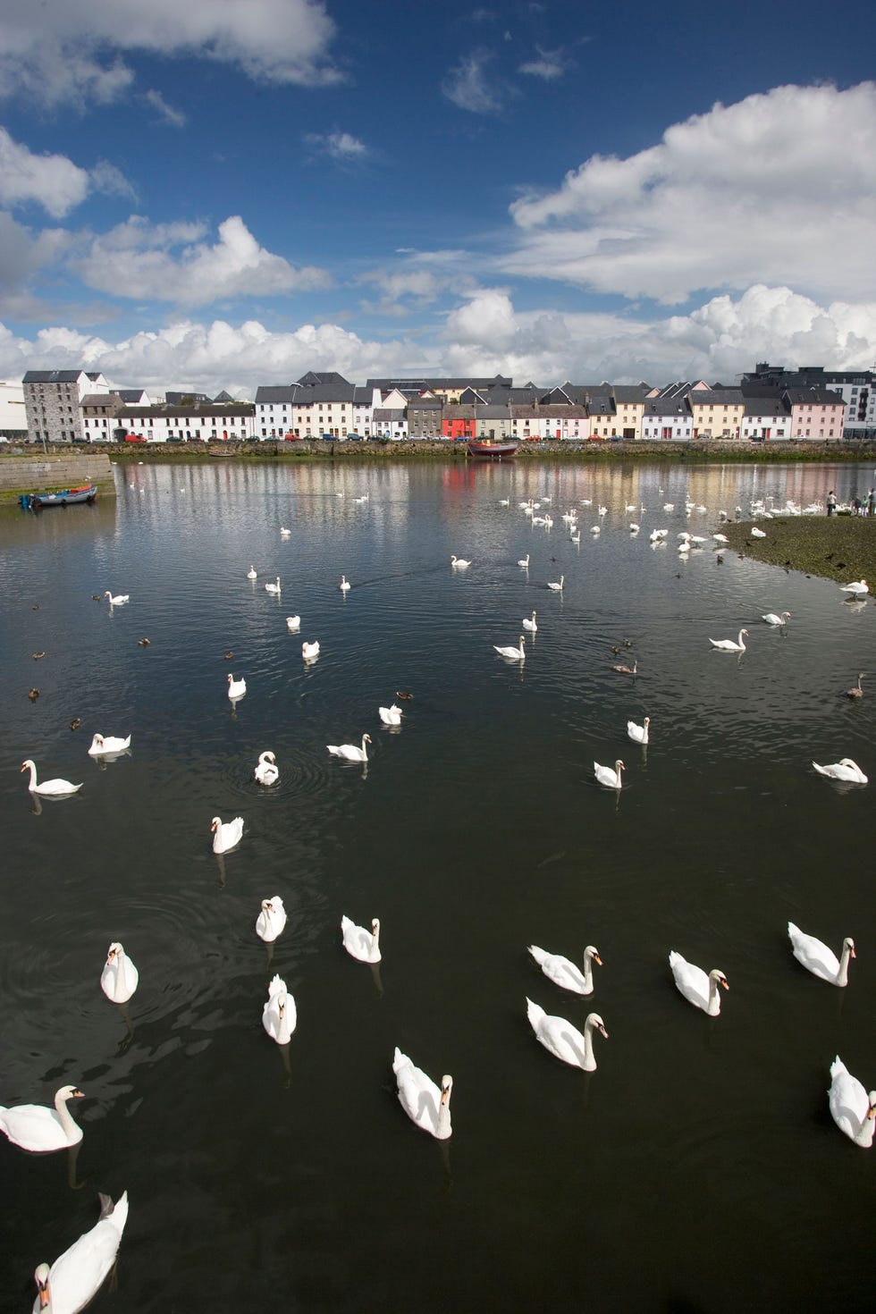Volgend jaar is Galway de Culturele Hoofdstad van Europa