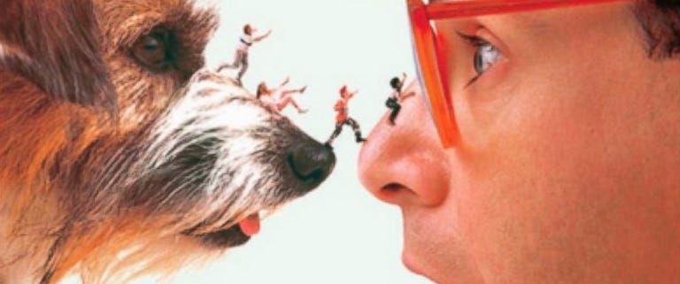 30th-anniversary-of-honey-i-shrunk-the-kids-is-shrinking-possible