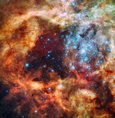 Een holte binnen de machtige stofbanen van de Tarantulanevel wordt opgelicht door de bruisende energie van een groep jonge sterren