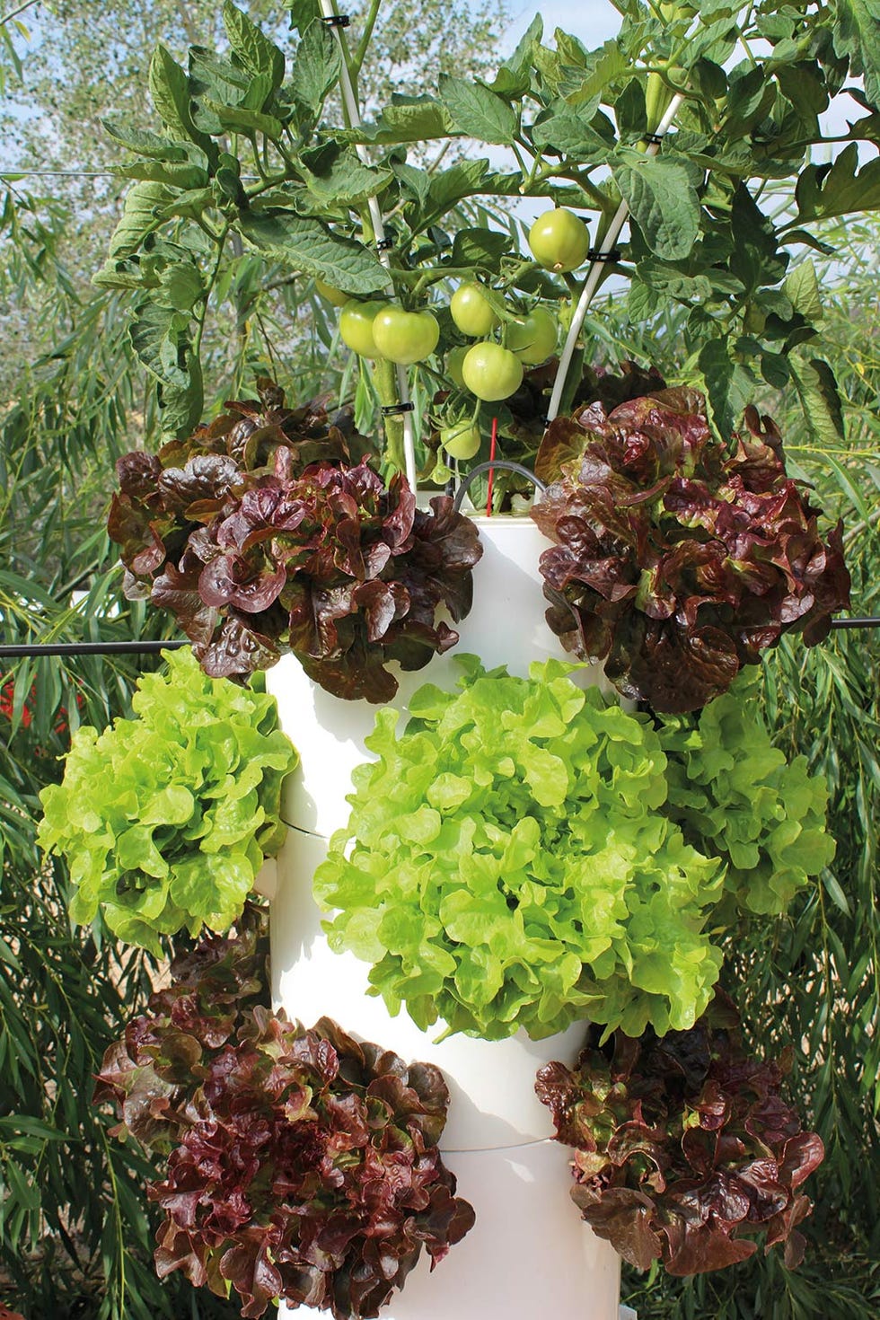 mypot®, sistema de huerto vertical