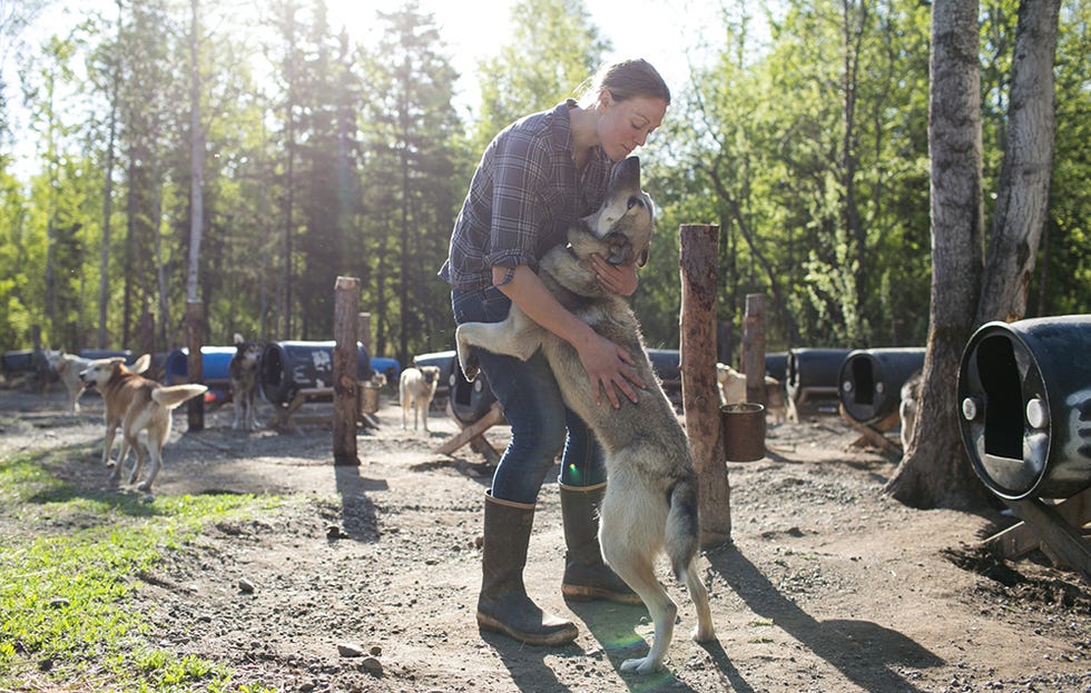 hugging dog