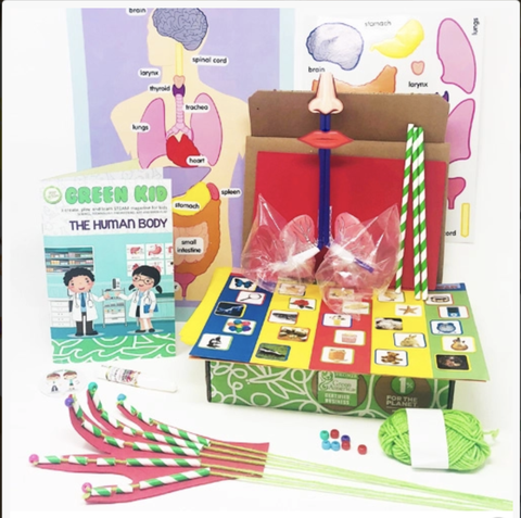 subscription kit for kids content laid on a white surface that includes diagram of the human body with organs listed a mechanism that teaches about tendons and more
