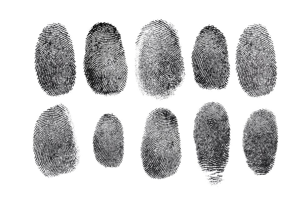 human fingerprint isolated on white background