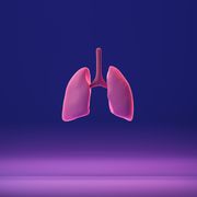 human lung on blue and pink color gradient 3d model of internal organ