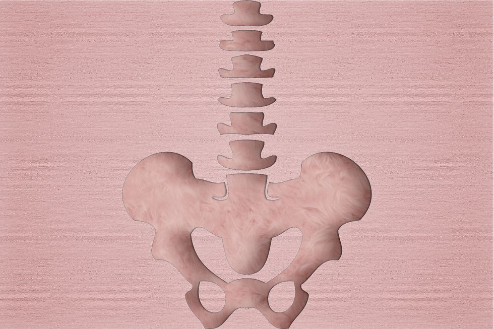 human pelvis and bones in pink paper cutting