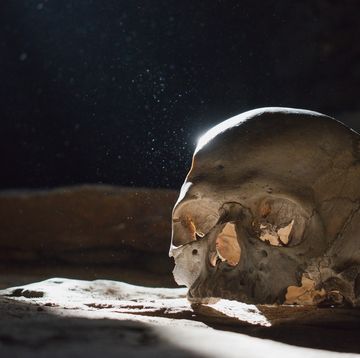 human skull in the scary underground, spooky old castle cellar