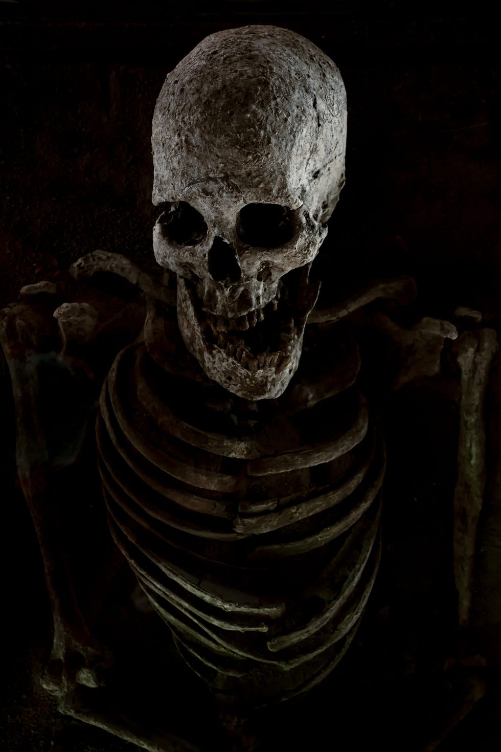 Human Skull Isolated on black human skull isolated on black