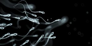human sperm, artwork