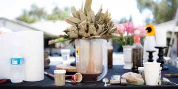 ayahuasca, hummingbird church, spiritual guidance, ceremony