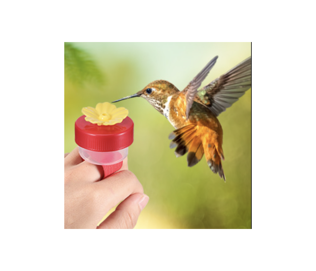 This Hummingbird Ring Feeder Is a Must-Have for Any Fan of the Tiny Winged Creatures