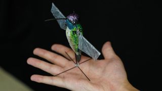 robotic hummingbird
