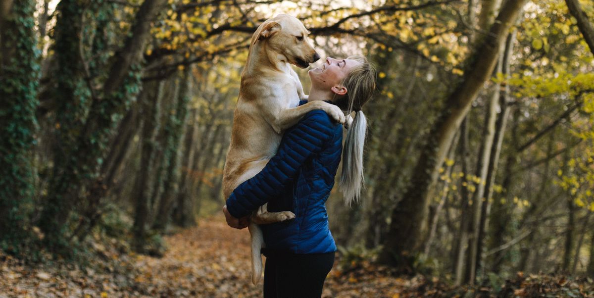 vrouw samen met haar hond in het bos