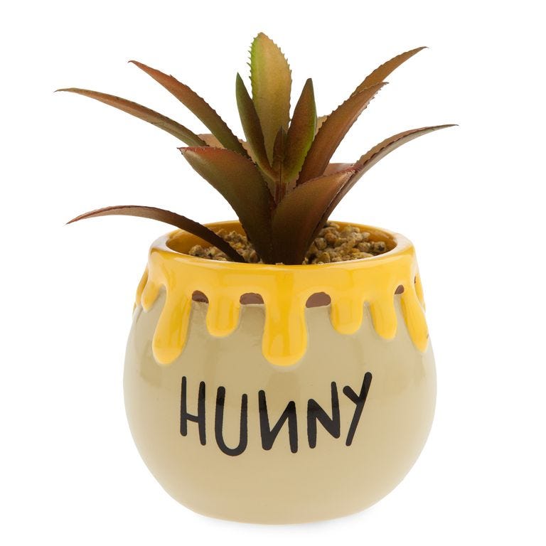 Flowerpot, Ananas, Pineapple, Houseplant, Plant, Agave, Flower, Bromeliaceae, Succulent plant, Aloe, 