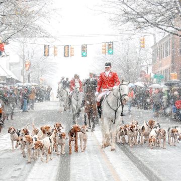 snowy scene of man on horseback parading with hunting dogs down the street in middleburg virginia